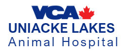 Uniacke Lakes Animal Hospital